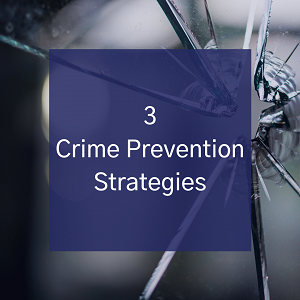 3 Crime Prevention Strategies