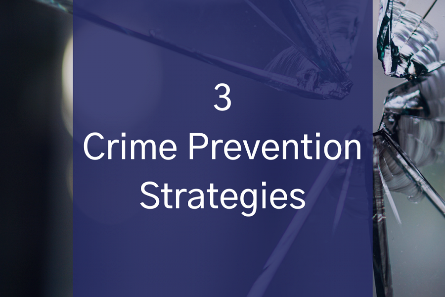 3 Crime Prevention Strategies